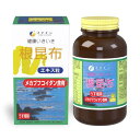 ファイン(FINE JAPAN) ファイン フコイダン 根昆布エキス粒 50日分(500粒入) ヨウ素 鉄 マグネシウム 国内生産