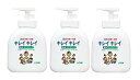 キレイキレイ 薬用液体ハンドソープ ポンプ250ml × 3個セット