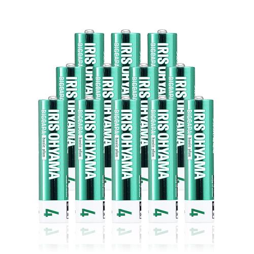 ꥹ ñ4 륫괥 12 ɺ   10ǯ¸ǽ Ĺ̿ BIGCAPAbasic+ LR03Bbp/1...
