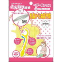 日本パフ わんわんベビー ふんわりフロス 30本入り 1才頃〜(歯が生えはじめたら) ベビー用フロス