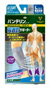 バンテリンサポーター 高通気タイプ ふくらはぎアシスト 大きめ/Lサイ...(4)
