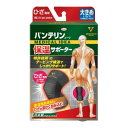 バンテリン保温サポーター ひざ専用 大きめ/Lサイズ(ひざ頭周囲 37...(4)