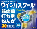 第3類医薬品ウインパスクール PB 30枚