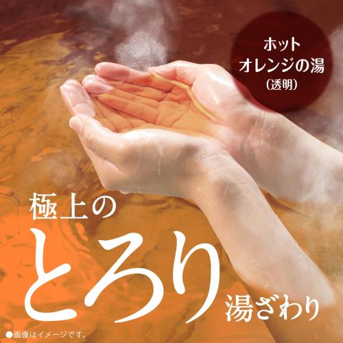 Hot Bubble PRO ホットバブルプロ 15g×21錠入り炭酸泉 重炭酸 タブレット 重炭酸イオン 肩こり 腰痛 冷え症