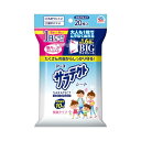 サラテクト 虫よけシート 虫よけウェットティッシュ BIGサイズ 20枚入 携帯用 肌 蚊 ブヨ トコジラミ 忌避 キャンプ アウトドア 防除用医薬部外品