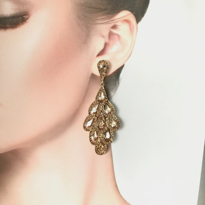 ピアス ラインストーンピアス 衣装 花 イヤリング アクセサリー 大きい デザインピアス 社交ダンス ベリーダンス レディース ジュエリー ブライダル パーティー 大ぶり ドレスアップ ダンス舞台衣装 ステージ衣装