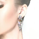 ピアス ラインストーンピアス 衣装 花 イヤリング アクセサリー デザインピアス 社交ダンス ベリーダンス レディース ジュエリー ブライダル パーティー ドレスアップ ダンス舞台衣装 ステージ衣装