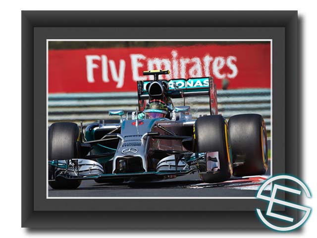 【メール便送料無料】ニコ・ロズベルグ 2014年 メルセデス F1 ハンガリーGP1 A4サイズ 生写真(海外直輸入 F1 グッズ)