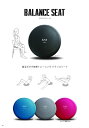 XYZBALANCE SEATバランスシート 全4色