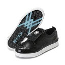 アニュー ゴルフ ANEW ウィメンズ セイントタッセルシューズ ゴルフシューズ シューズケース付き スパイクレス 送料無料 AGEUWSH04BK