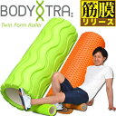 BODYトレ 筋膜リリース らくらくツインローラー ボディトレ 家トレ トレーニング 大人気 BT-1851 専用バッグ付き