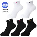 デサント ショートソックス 2足組 バレーボール デサント DESCENTE 男女兼用 練習 試合 靴下 DVB-9136S2 抗菌 防臭 日本製