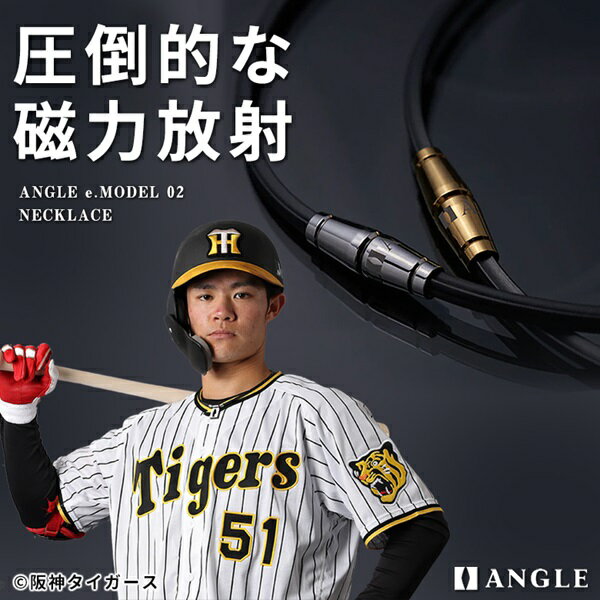 ANGLE アングル 磁気ネックレス e.MODEL 02 NECKLACE シンプルデザイン 医療機器 肩こり 首 背中 血行改善 箱入り 送料無料 AE02N
