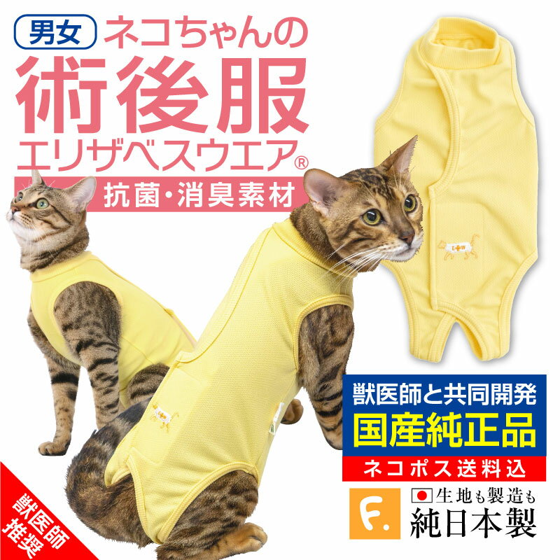 【送料込】猫用術後服エリザベスウエア(R)(男の子雄/女の子雌兼用・猫用)【日本製 国産 避妊 去勢 乳腺腫瘍 猫服 介護 猫 術後着 術後 手術 猫の服 ネコ】【エリザベスカラーの代わりになる】動物病院と共同開発 獣医師推奨 【犬猫の服 フルオブビガー】