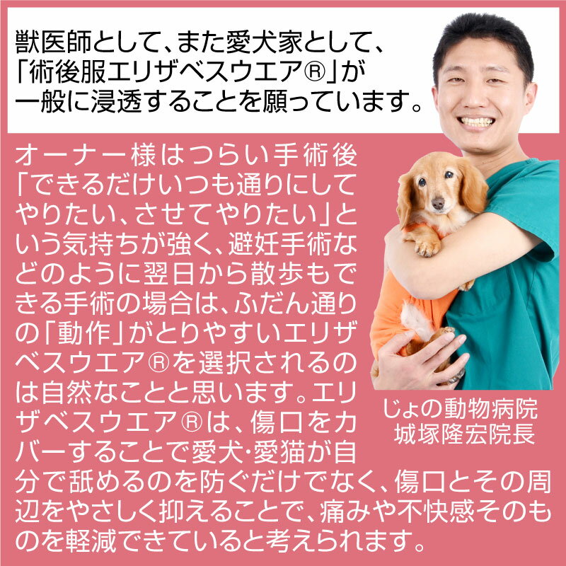 エリザベスカラーに代わる獣医師推奨の猫の 術後服エリザベスウエア 72%以上節約 R カラーだと飲食が出来ず普段通りの生活が出来ませんが 術後服なら普段通りの生活が出来ストレスフリー 女の子雌兼用 猫用 消臭機能付き猫用術後服エリザベスウエア 男の子雄 獣医師推奨 エリザベスカラーに代わる獣医師推奨の猫の 術後服エリザベスウエア 72%以上節約 R カラーだと飲食が出来ず普段通りの生活が出来ませんが 術後服なら普段通りの生活が出来ストレスフリー 女の子雌兼用 猫用 消臭機能付き猫用術後服エリザベスウエア 男の子雄 獣医師推奨