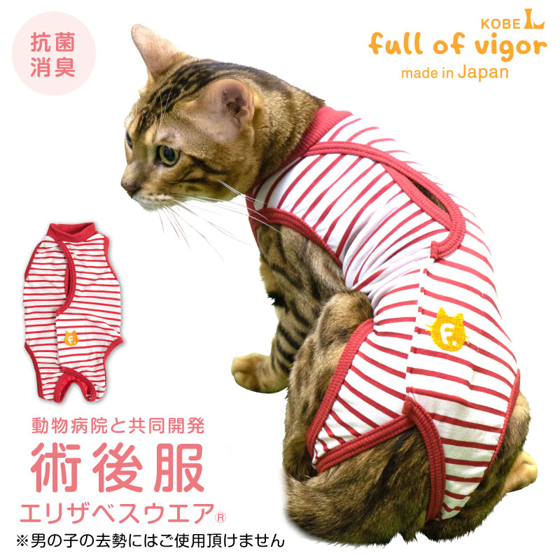 【送料込消臭機能付き猫用術後服エリザベスウエア R 男の子雄/女の子雌兼用・猫用 【日本製 国産 避妊 去勢 乳腺腫瘍 手術 猫服 キャットウェア 介護服 オスメス兼用】】【エリザベスカラーの…