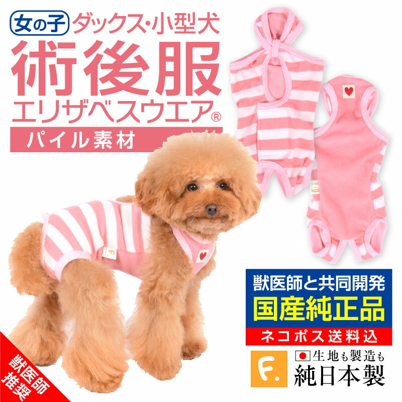 エリザベスカラーの代わりに【送料込】犬用パイルボーダー術後服エリザベスウエア R 女の子 雌/ダックス・小型犬用 日本製 国産 避妊 去勢 乳腺腫瘍 犬服 チワワ トイプードル 介護服 術後着 …