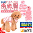 エリザベスカラーの代わりに【送料込】犬用パイルボーダー術後服エリザベスウエア(R)(女の子 雌/ダックス・小型犬用) 日本製 国産 避妊..