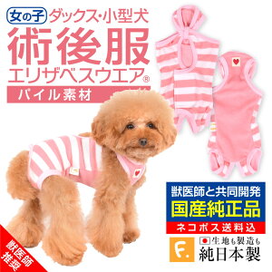 【送料込】犬用パイルボーダー術後服エリザベスウエア(R)(女の子 雌/ダックス・小型犬用)【日本製 国産 避妊 去勢 乳腺腫瘍 犬服 チワワ トイプードル 介護服 術後着 術後 手術 メス】【エリザベスカラーの代わりになる】獣医師推奨 【犬猫の服 フルオブビガー】