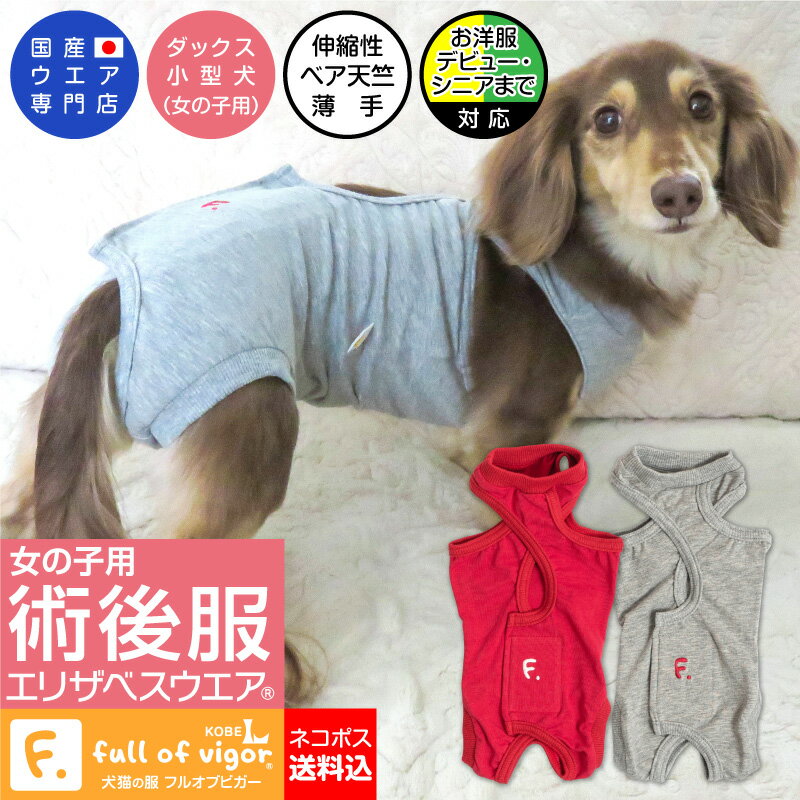 エリザベスカラーの代わりに【送料込】犬用 F.ベア天竺術後服エリザベスウエア R 女の子 雌/ダックス・小型犬用 日本製 国産 避妊 去勢 乳腺腫瘍 チワワ トイプードル 介護 術後着 術後 手術 …