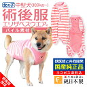 【送料込】【エリザベスカラーの代わりになる】獣医師推奨 犬用パイルボーダー術後服