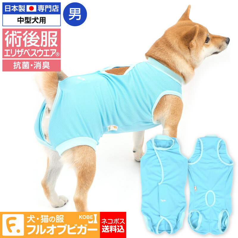 エリザベスカラーの代わりに【送料込】犬用術後服エリザベスウエア(R)(男の子 雄 オス/中型犬用) 日本製 国産 避妊 去勢 乳腺腫瘍 柴犬 ビーグル テリア コリー コーギー 介護服 術後着 術後 手術 獣医師推奨 full of vigor フルオブビガー