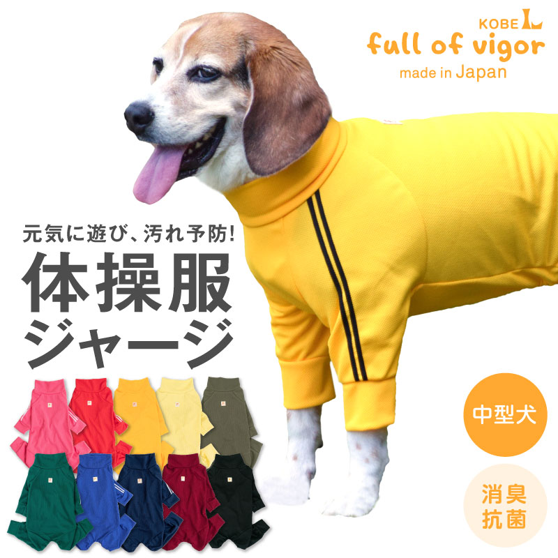 【送料込】ドッグプレイ R 体操服ジャージつなぎ 中型犬用 【日本製 国産 犬服 犬の服 ドッグウエア 柴犬 コーギー ロンパース 秋冬 遊び着 ペット服】