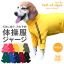 つなぎ 【送料込】ドッグプレイ(R)体操服ジャージつなぎ(中型犬用)【日本製 国産 犬服 犬の服 ドッグウエア 柴犬 コーギー ロンパース 秋冬 遊び着 ペット服】