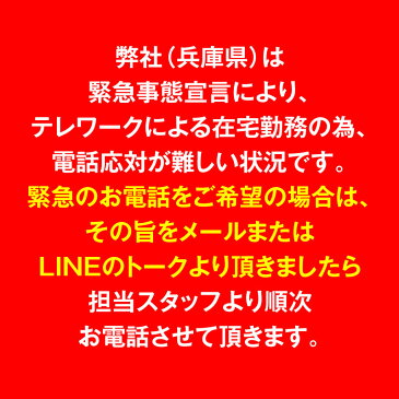 【送料込】【在庫あり※一人3点まで】【日本製の洗える布マスク2枚入】接触冷感お散歩エチケットマスク（ガーゼ・不織布用ポケット付き）【返品不可】【ネコポス値2】