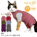 【送料込】猫用ウォームボーダー長袖つなぎ猫服 キャットウエア ロンパース あったか 過剰グルーミング 皮膚保護 抜け毛