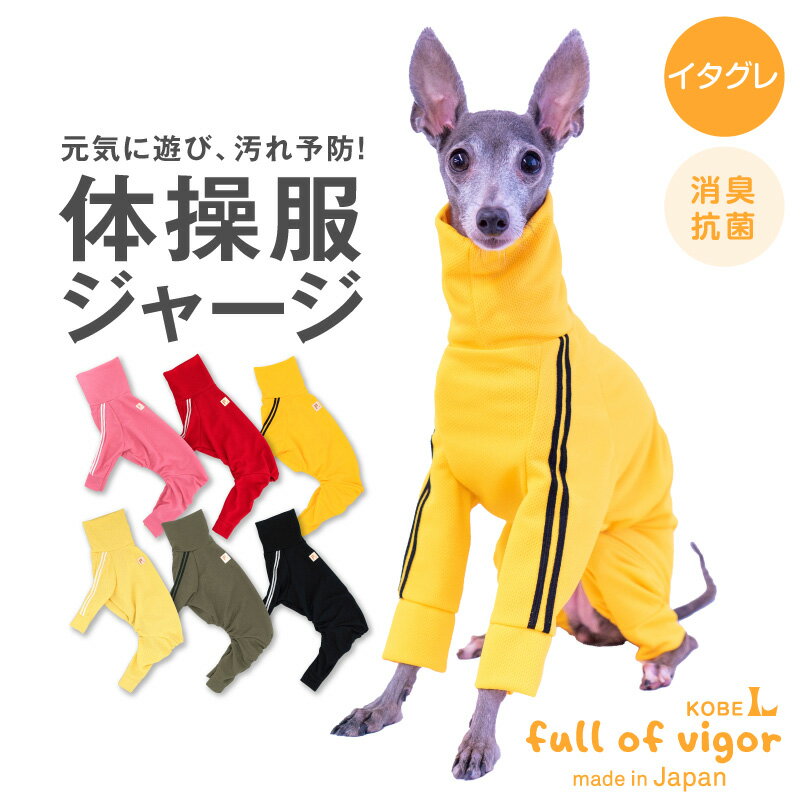 【送料込】ドッグプレイ(R)体操服ジャージつなぎ(イタグレ用)【国産 犬服 ドッグウエア カバーオール オールインワン イタグレ ウィペット ペット服 秋 冬服】【犬猫の服 full of vigor フルオブビガー】