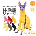 【送料込】ドッグプレイ(R)体操服ジャージつなぎ(イタグレ用)【国産 犬服 ドッグウエア カバーオール オールインワン イタグレ ウィペット ペット服 秋 冬服】【犬猫の服 full of vigor フルオブビガー】