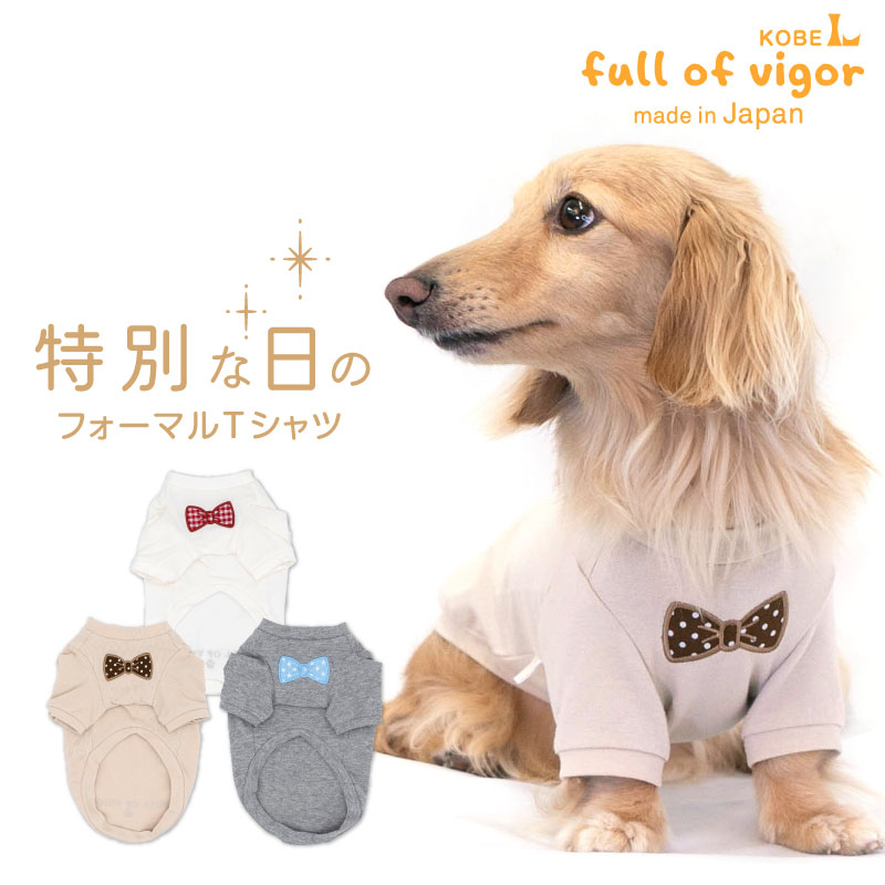 ネックワッペンベア天竺Tシャツ(ダックス チワワ トイプードル 小型犬用)犬服 ペット服 ドッグウェア 春服 夏服 シーズー