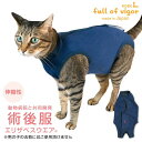 エリザベスカラー の代わりに 獣医師 去勢 避妊 手術 【送料込】 猫用 伸びて 着せやすい F. ベア天竺 術後服 エリザベスウエア(R) 男女兼用 伸縮性素材 猫 服 過剰グルーミング 高齢 シニア 舐め壊し 夏 春 秋 冬 伸びる素材