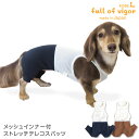 抜け毛対策 パンツ 【送料込】 メッシュ インナー付 ストレッチ テレコ スパッツ ダックス 小型犬用 犬 服 夏 春 秋 冬 ずれない チワワ トイプードル ミニチュアダックス ダックスフンド