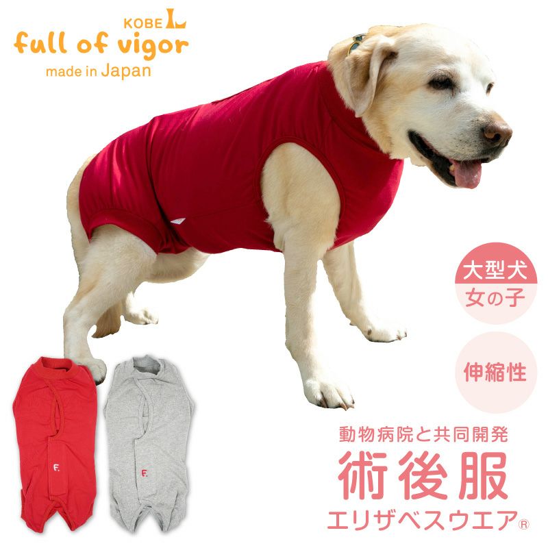 エリザベスカラーの代わりに F.ベア天竺術後服エリザベスウエア(R)(女の子 大型犬用 伸縮性素材) 日本製 国産 ドッグウエア 避妊 去勢 乳腺腫瘍 手術 介護 ゴールデン ラブラドール レドリバー メス 犬の服 フルオブビガー