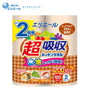 エリエール 超吸収キッチンタオル(無漂白)2ロール(100カット)【エリエール公式】