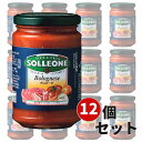 【12本セット】ソル・レオーネ ボロネーゼソース(300g) パスタソース 1300422【まとめ買い】