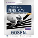 GOSEN(ゴーセン) ハイブリッド 剛戦 X7V/GOSEN X7V ソフトテニス ガット(単張) SS507-RB【送料無料】
