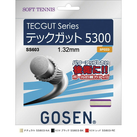 GOSEN(S[Z) ebNKbg 5300/TECGUT 5300 \tgejX Kbg(P) SS603-NAyz