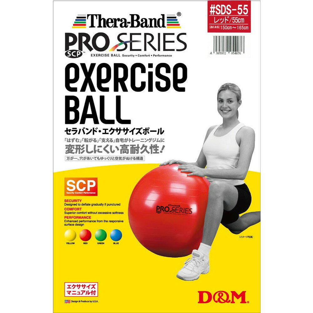 EL Store 楽天市場店のD&M エクササイズボール SDS-55｜アングル2