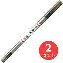 【2本セット】ゼブラ 筆ペン 毛筆+硬筆 FD-502【まとめ買い】 送料無料