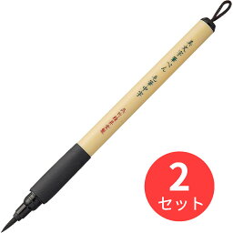 【2本セット】呉竹 美文字筆ぺん 毛筆中字 (XT5-10S)【まとめ買い】