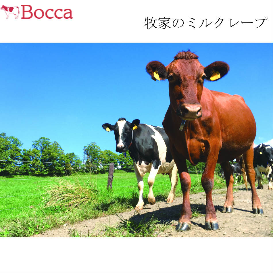 送料無料 牧家 BOCCA ミルクレープ　1ホール（直径19cm）　北海道 ミルクレープ　クレープ BOCCA ボッカ 牧家 お菓子 スイーツ セット 詰合せ お祝い 内祝い 景品 自家用 誕生日 贈り物 2