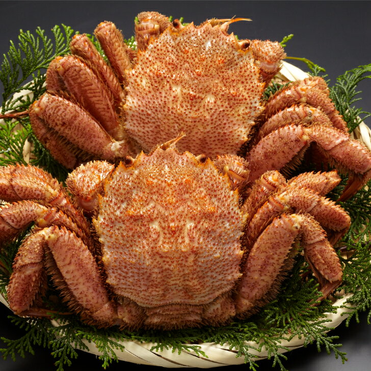 北海道産前浜茹で毛ガニ2尾(4)