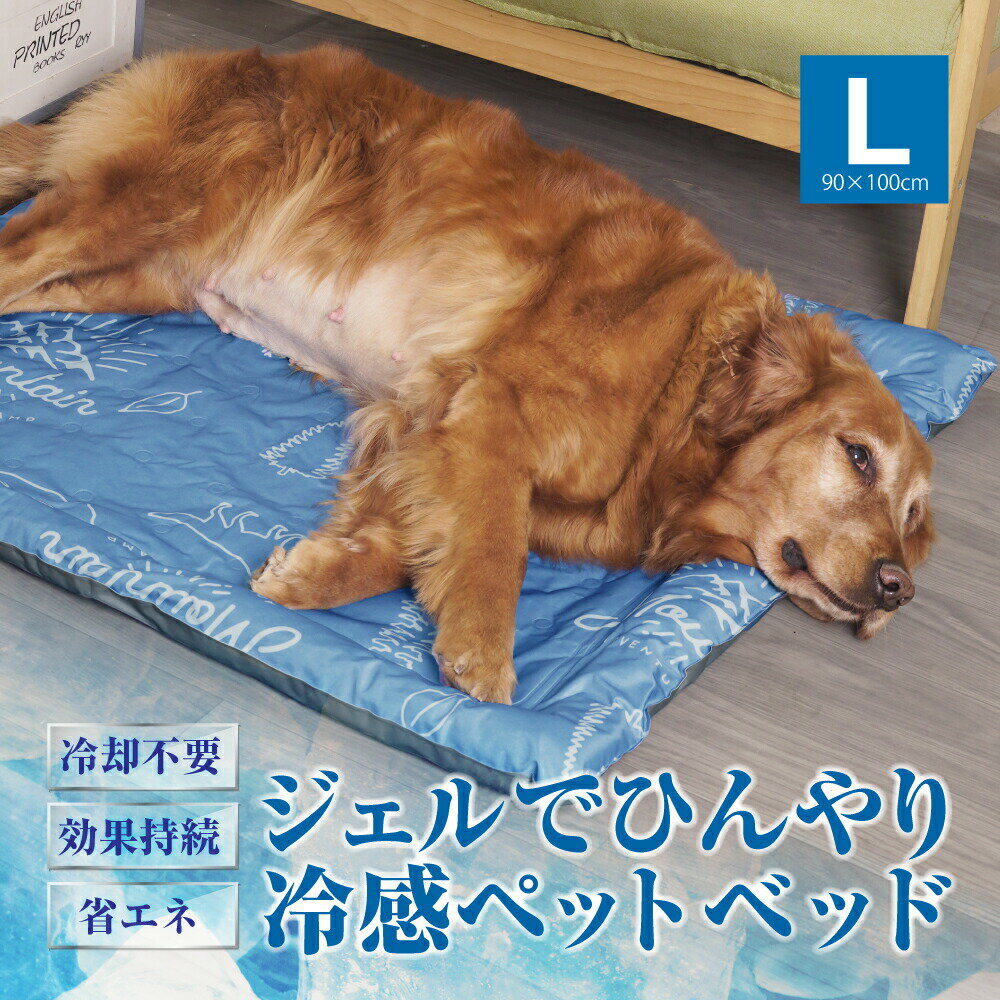 ペットベッド｜春夏の暑さ対策に！大型犬用のひんやりベッドのおすすめを教えて！