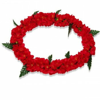 シェルジンジャーポエポエレイ レッド 707/07