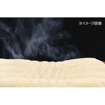ELMONO(家具 ラグ カーペット)のSalofix ホット＆スチームパッド Lサイズ F20892｜アングル3
