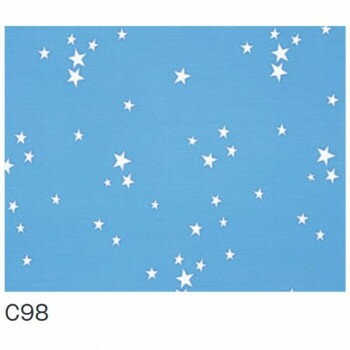 富双合成 シャワーカーテン 約105cm幅×180cm高 C98