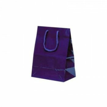 ミニバッグ手提袋 ネイビー 1521 10枚